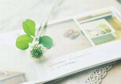 欢迎使用Z-BlogPHP！